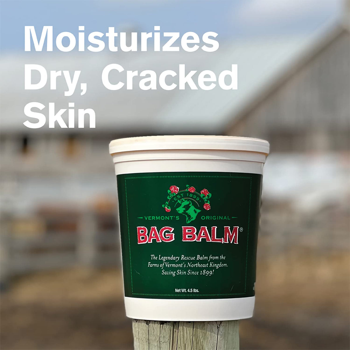 Close-up of Bag Balm texture illustrating rich lanolin moisture