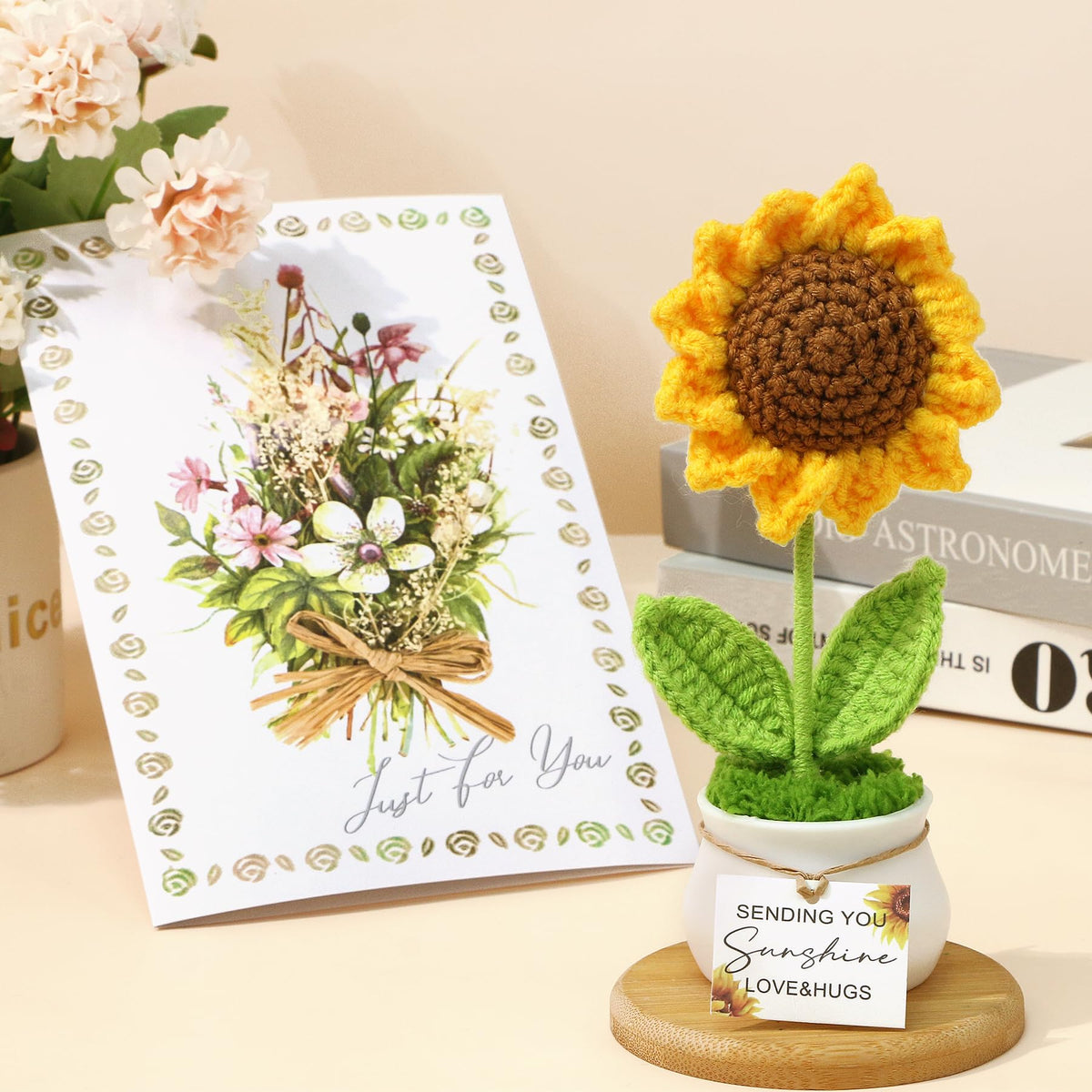 BaiCai boxed gift in a living room scene showing ideal thoughtful presentation