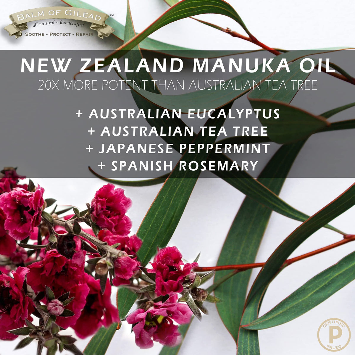BALM OF GILEAD ingredients display showing manuka, tea tree, and tallow to communicate natural formulation