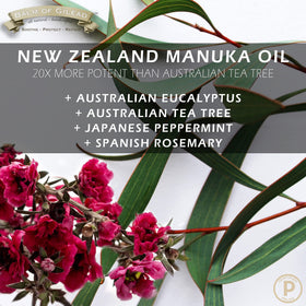 BALM OF GILEAD ingredients display showing manuka, tea tree, and tallow to communicate natural formulation