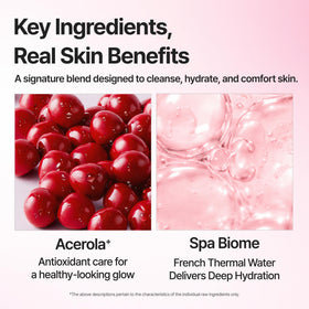 BANILA CO ingredient label with acerola berry and vitamin C highlights antioxidant benefits