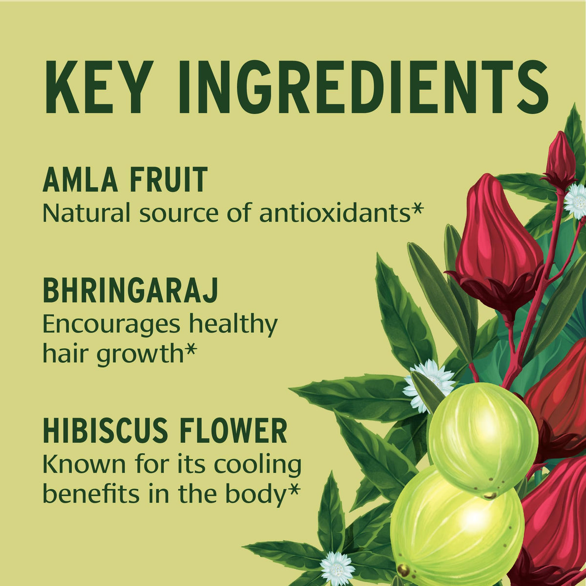 Banyan Botanicals ingredients amla and hibiscus emphasizing natural origin