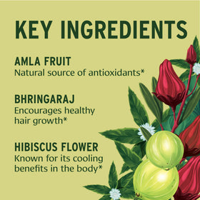 Banyan Botanicals ingredients amla and hibiscus emphasizing natural origin