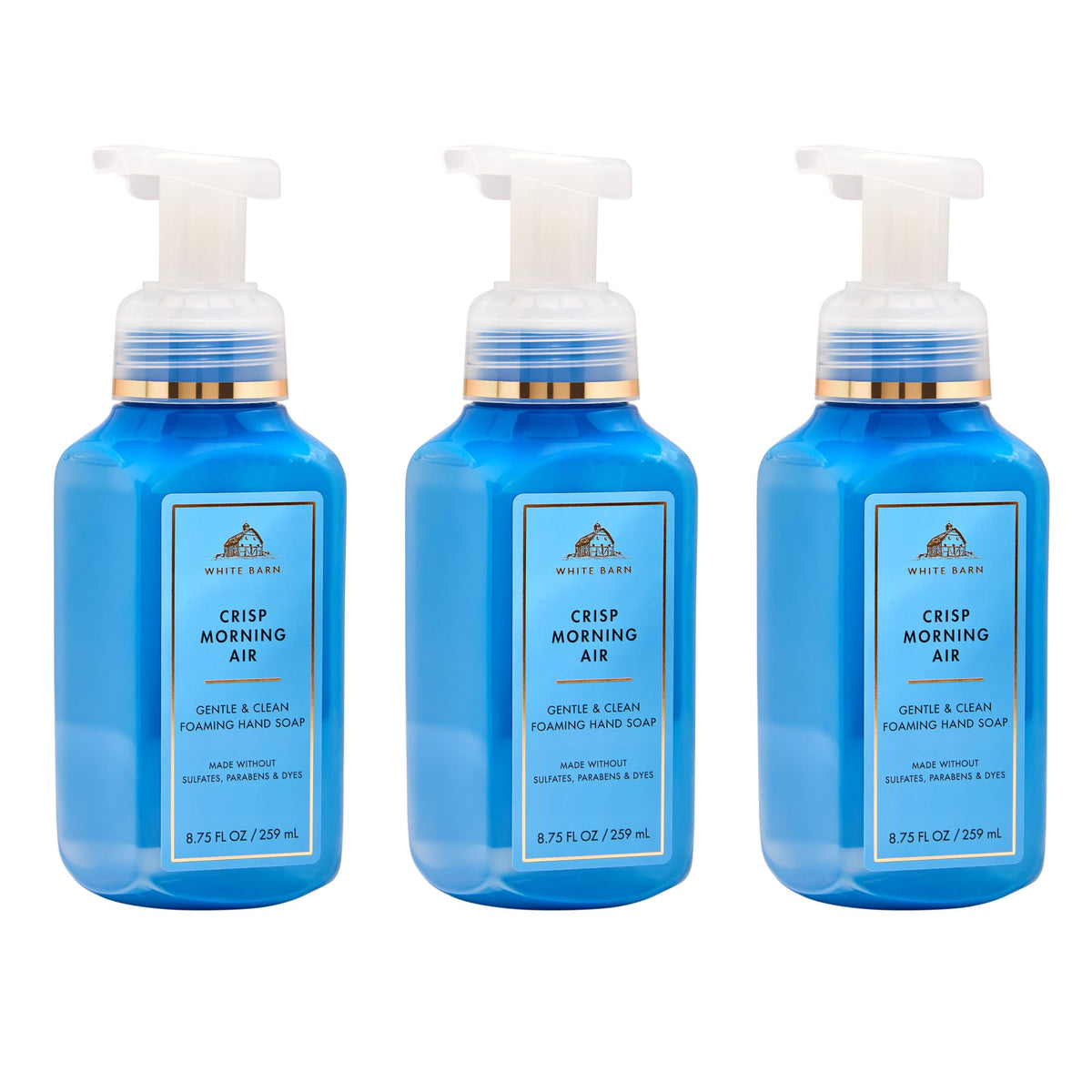 Bath & Body Works front packaging showing fresh scent and gentle formula benefit