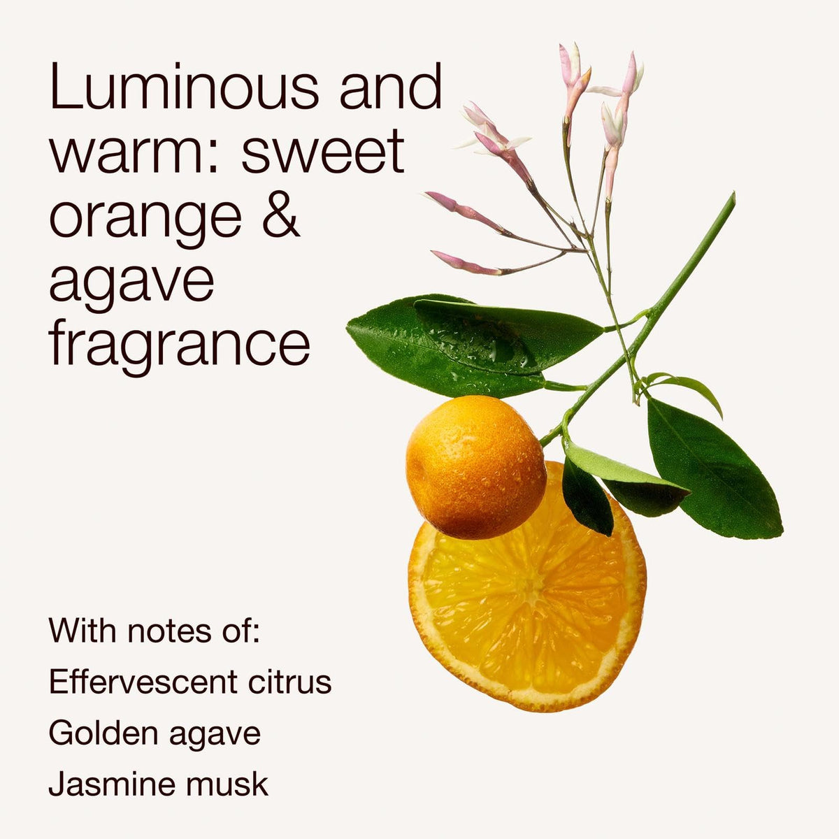 Bath & Body Works foamy texture in palm demonstrating gentle cleansing and rich lather