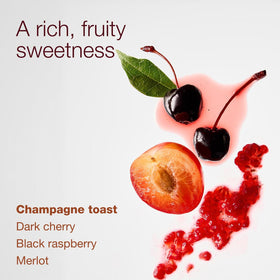 Bath & Body Works Champagne Toast bottle styled for gifting and celebratory use