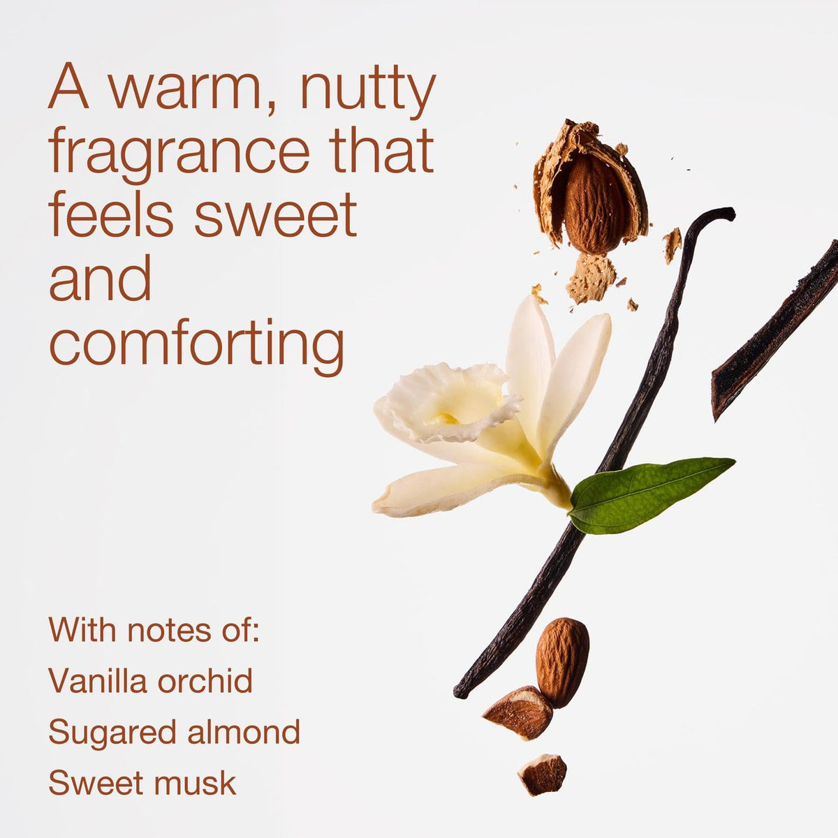Bath & Body Works foam texture closeup illustrating creamy lather and moisturizing feel