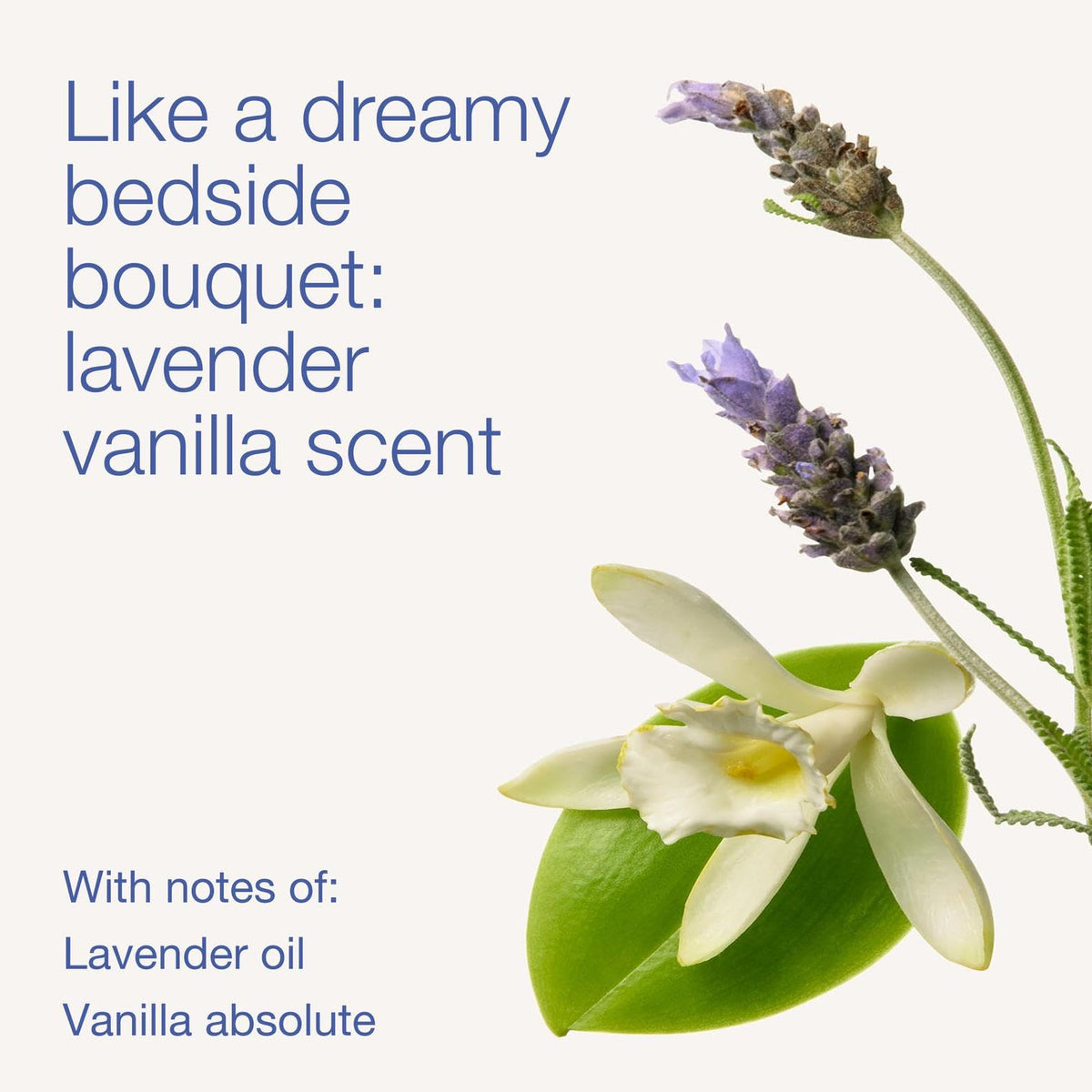 Bath & Body Works rich foamy lather texture that cleanses and comforts skin