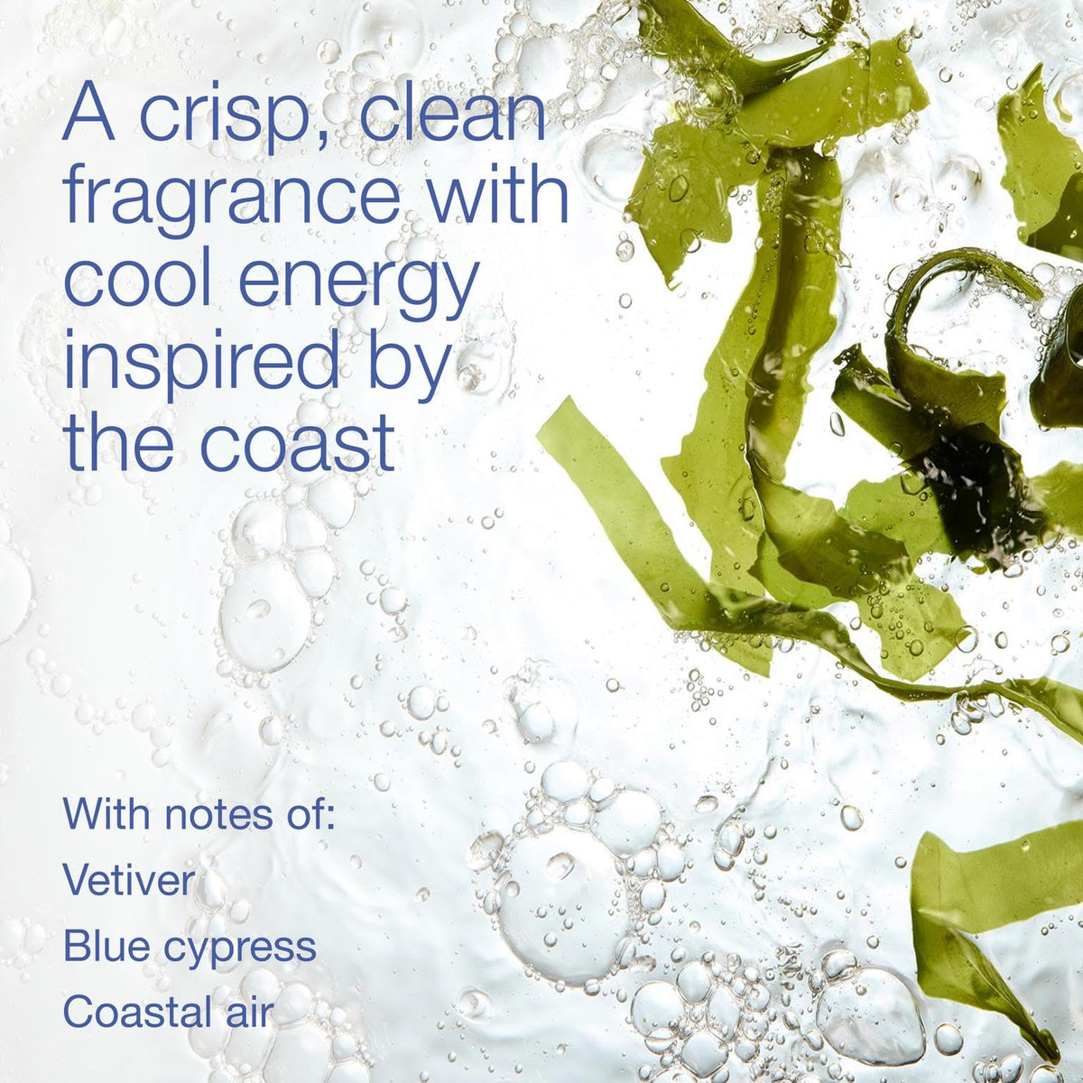 Bath & Body Works lather texture demonstrating gentle cleansing and moisture