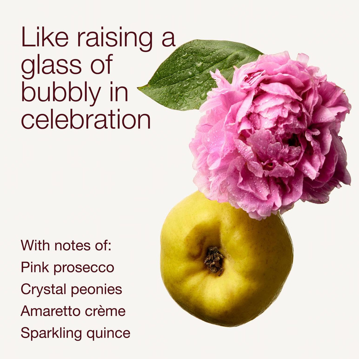 Bath & Body Works floral still life highlighting prosecco and peony fragrance notes