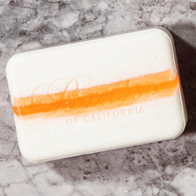 Baxter of California bar on shower shelf styling suggests elevated daily routine