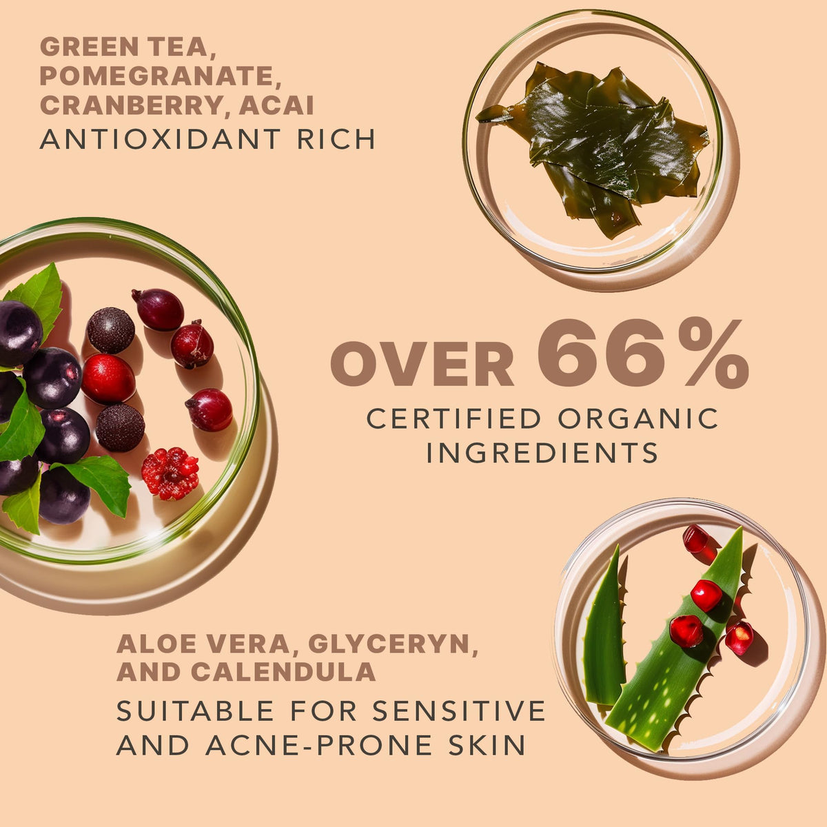 Beauty by Earth ingredients flatlay showing organic botanicals and non-toxic benefits