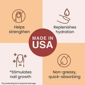 Beauty by Earth close-up jojoba seed ingredient illustrating nourishing oil benefit