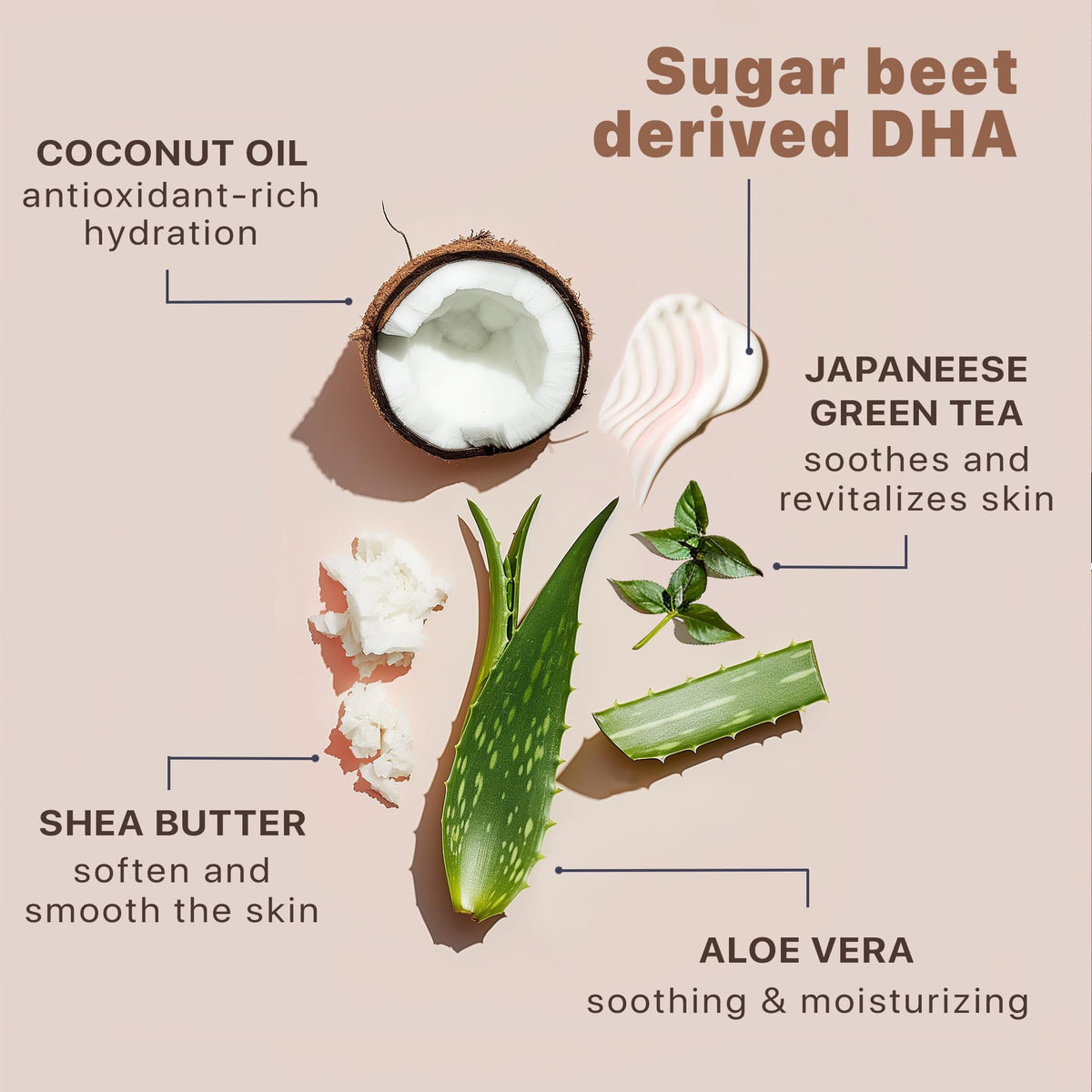 Beauty by Earth ingredients label highlighting organic aloe and shea