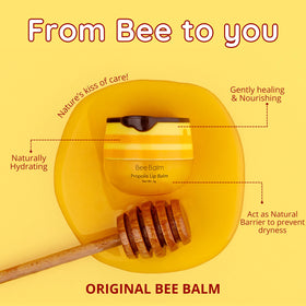 Open Bee Balm pot top-down showing rich balm consistency