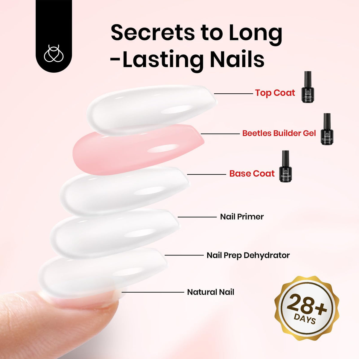 Beetles before and after nails demonstrating improved strength and smoothness