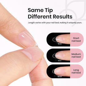 beetles contents spread of 576pcs kit highlighting variety for salon or home use
