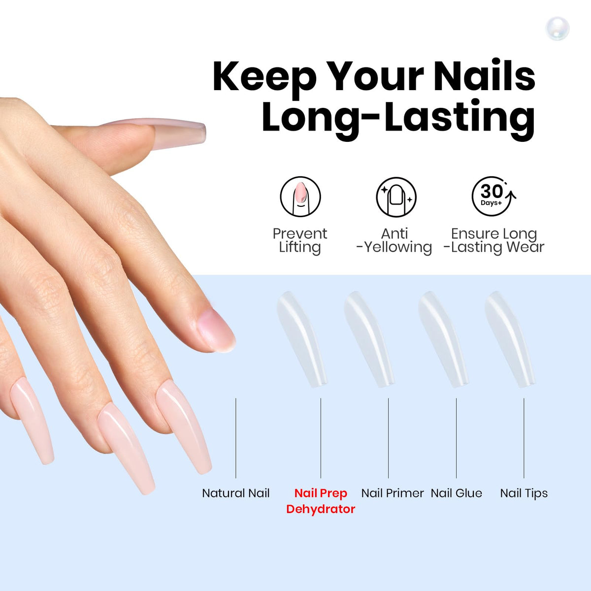 beetles brush applying dehydrator on nail to improve adhesion