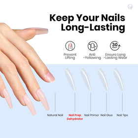 beetles brush applying dehydrator on nail to improve adhesion