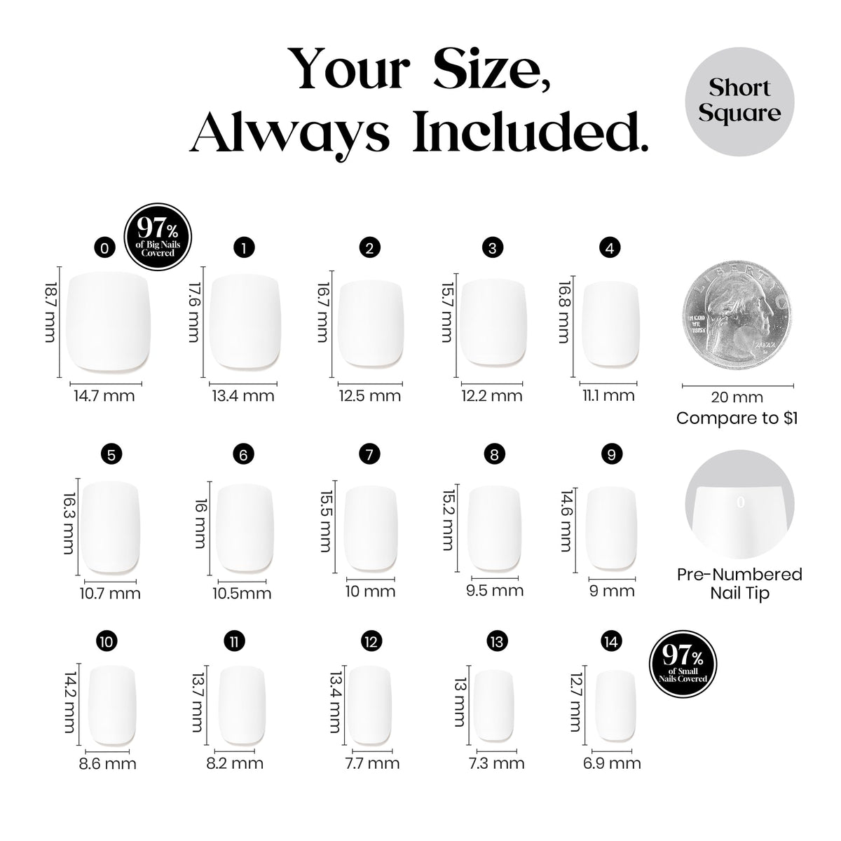 beetles size comparison with coin illustrating compact short nail scale
