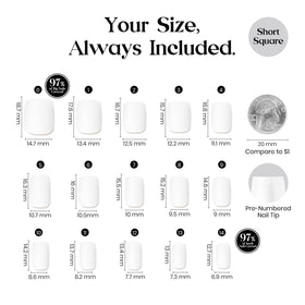 beetles size comparison with coin illustrating compact short nail scale