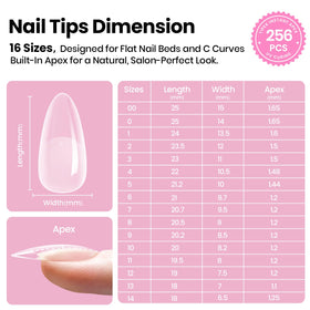 beetles thin cuticle area close shot ensuring natural, comfortable fit