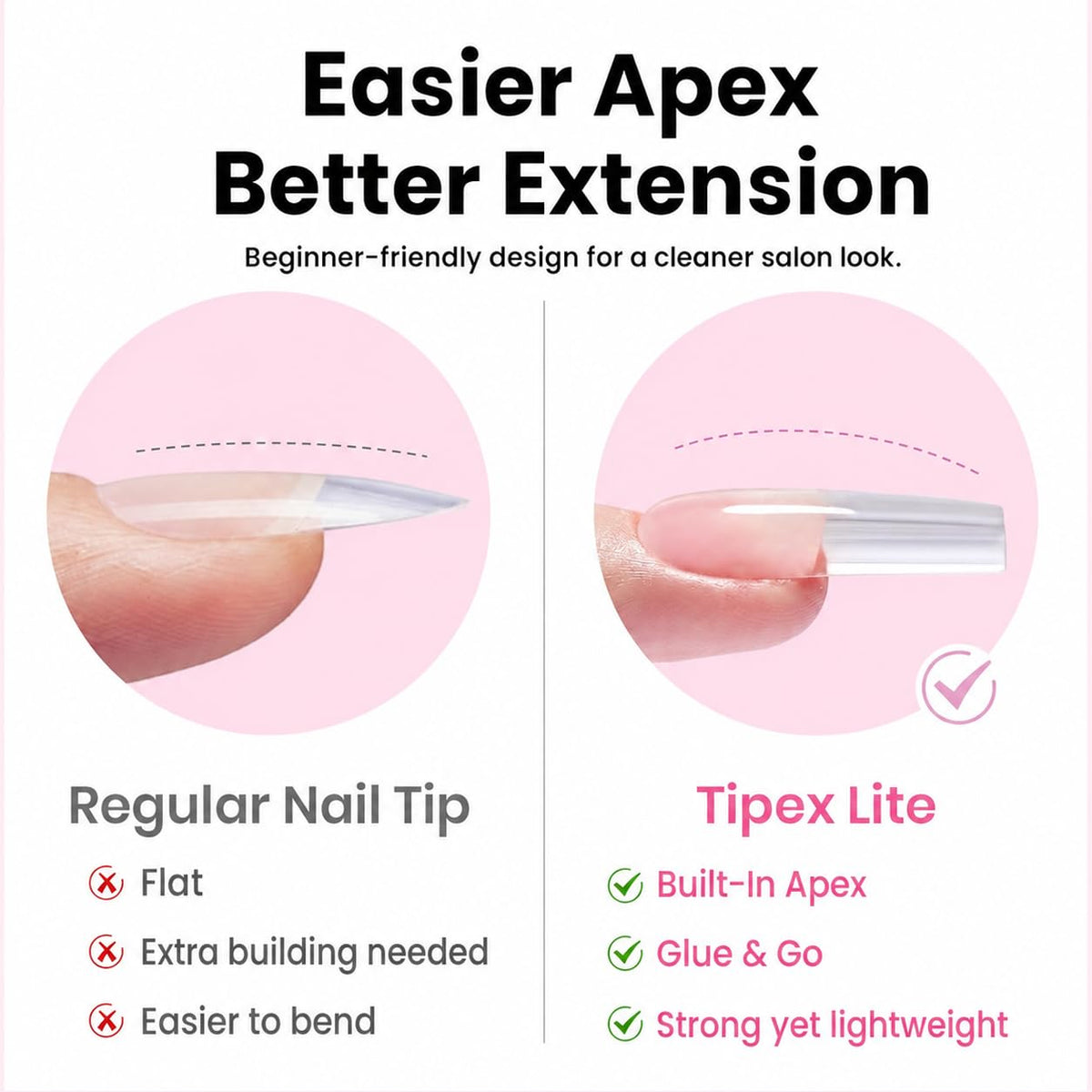 beetles tip cross-section highlighting thin cuticle area for natural fit benefit
