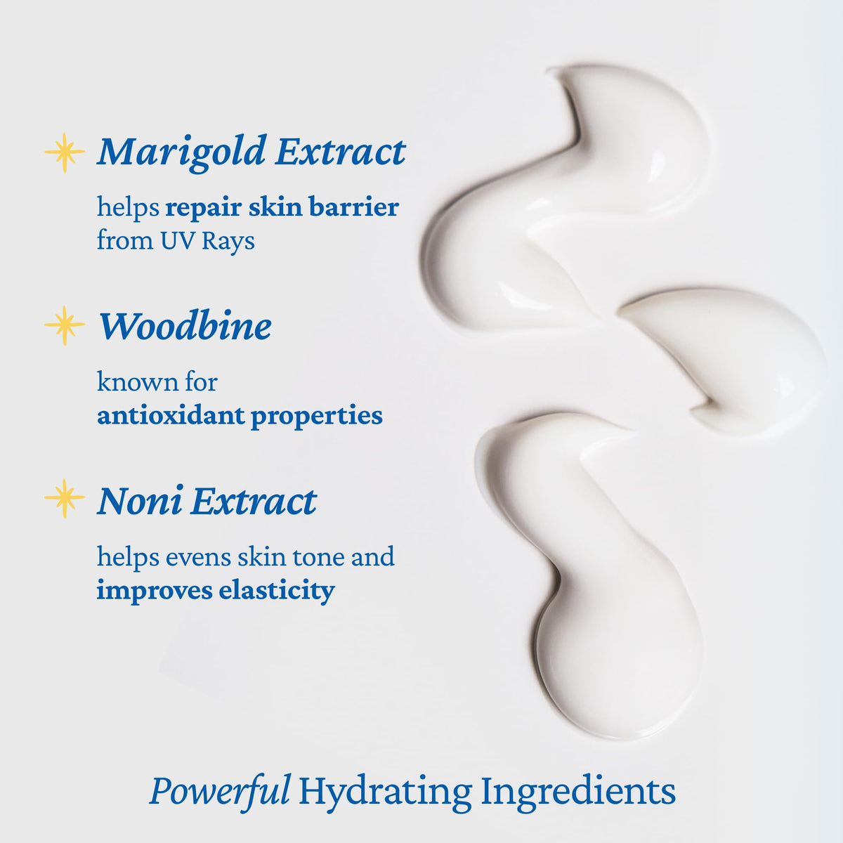 belif ingredient label highlighting niacinamide and botanical extracts for barrier support