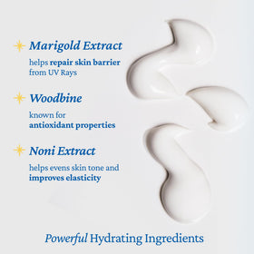 belif ingredient label highlighting niacinamide and botanical extracts for barrier support
