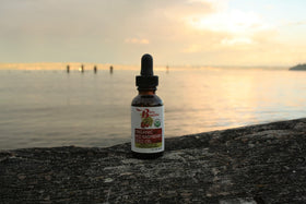 Berry Beautiful 1 fl oz bottle beside a coin for size and travel-friendly benefit