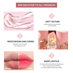 BestLand lip application on model demonstrating color transformation benefit