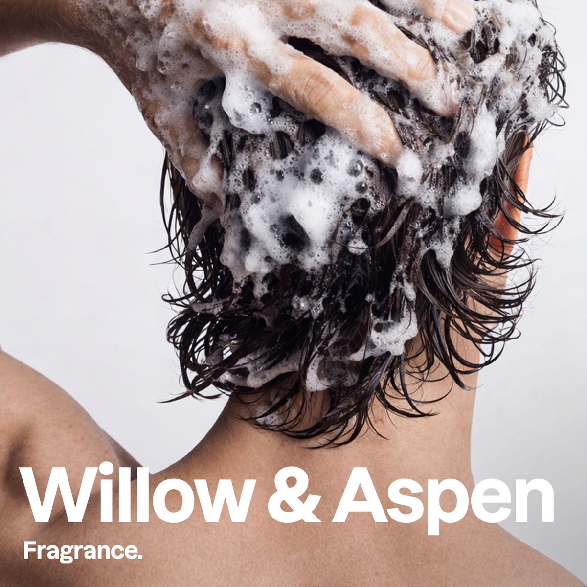 BIO SPECTRA ATTITUDE black willow and aspen botanicals, natural ingredient focus