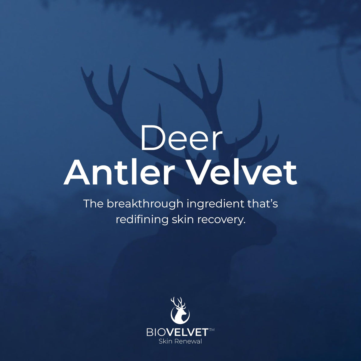 Bio Velvet with Dead Sea minerals visual conveying mineral-rich skin-supporting benefit