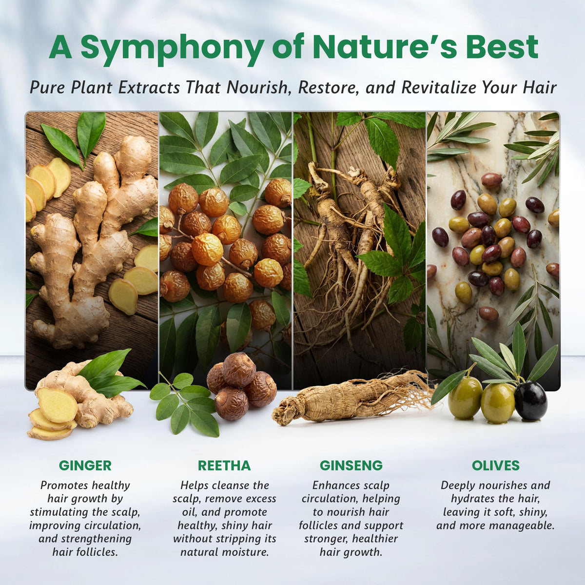 BIOGREEN ROOTS applying to dry hair for easy color result