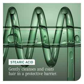 Biolage Color Last conditioner paired with shampoo for system results and protection benefit