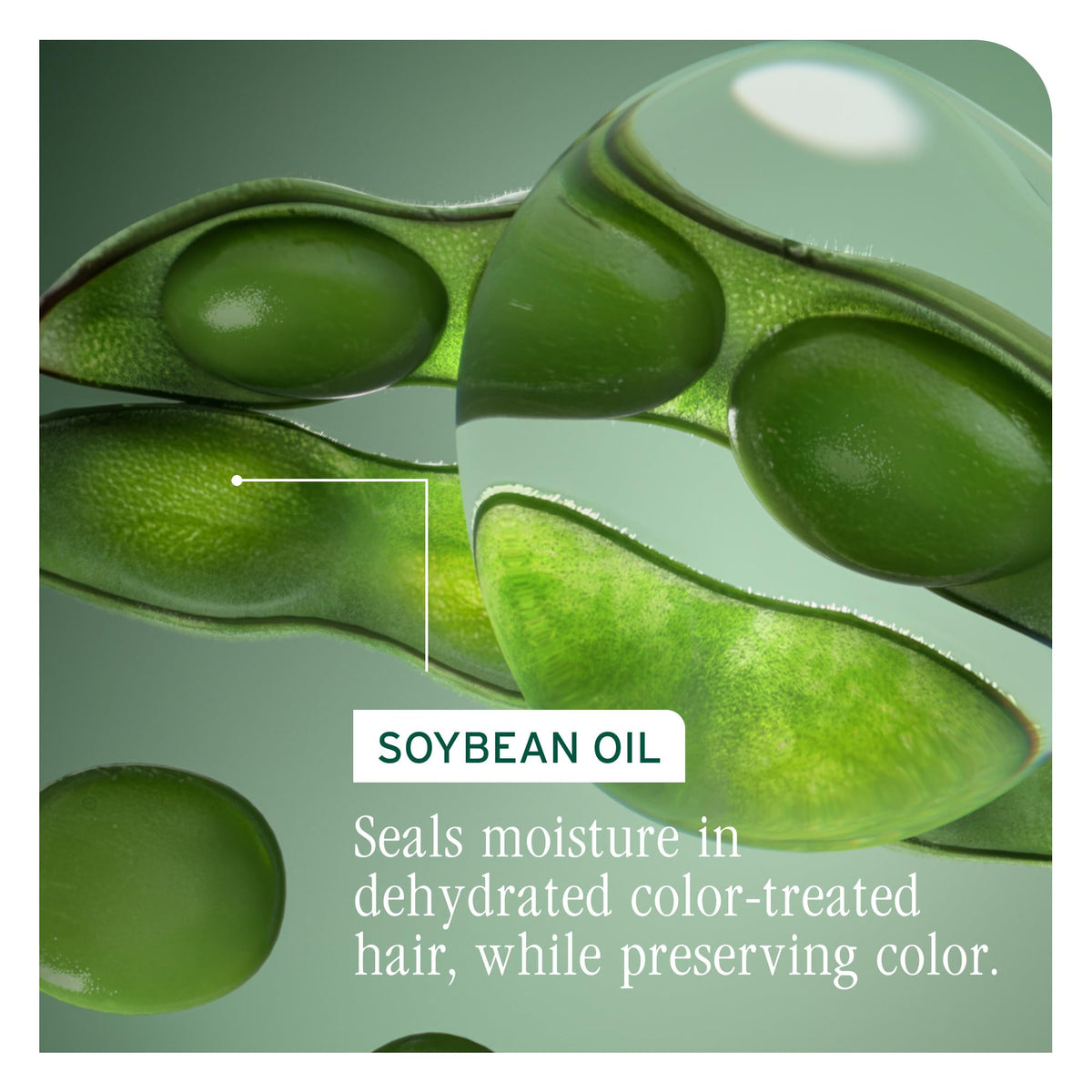 Biolage visible smoother hair before and after using shampoo for shine