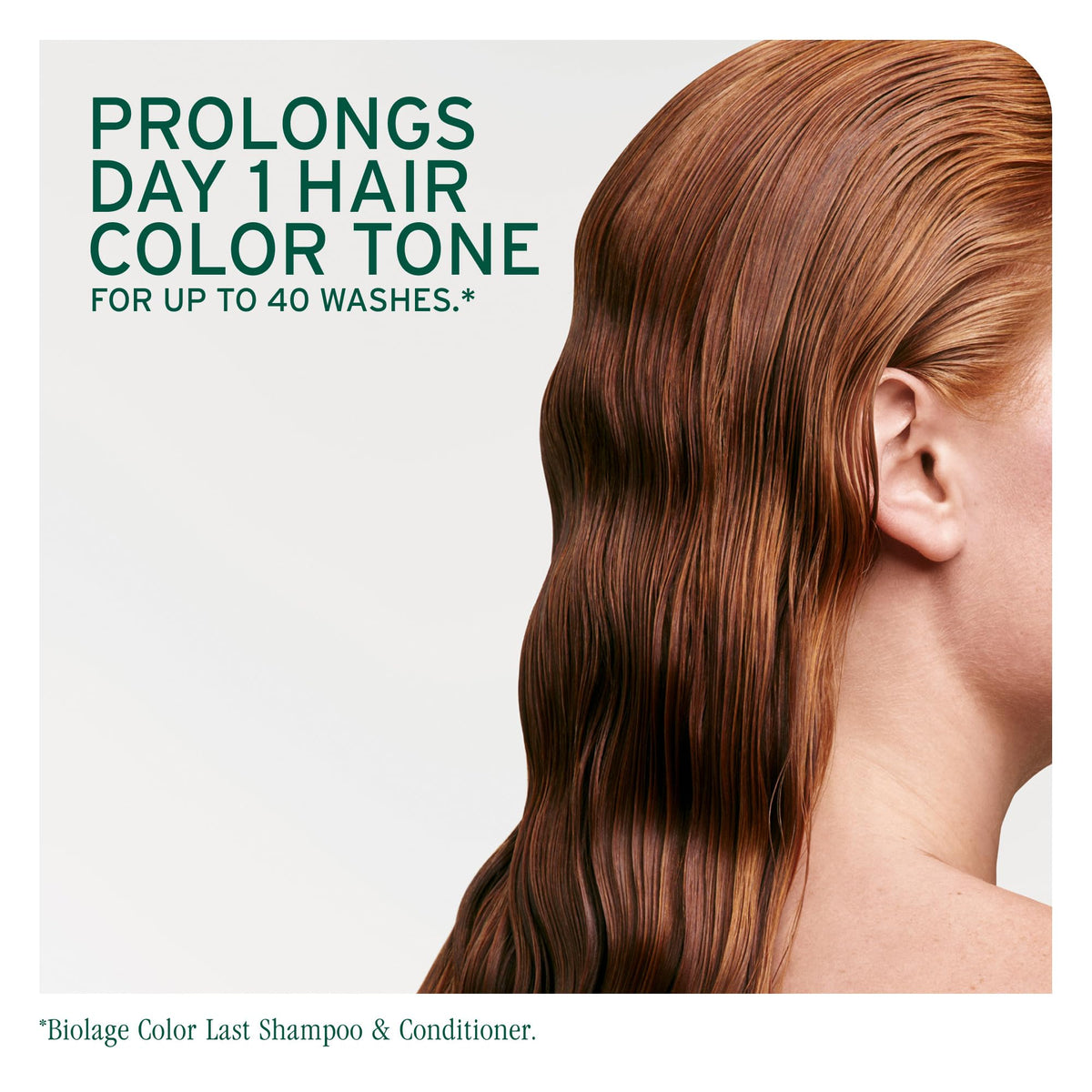 Biolage shampoo lather on hair demonstrating gentle cleansing and shine
