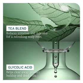 Biolage label ingredients close-up highlighting zinc pyrithione benefit