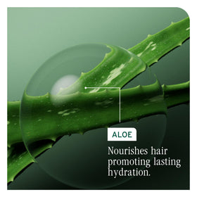 Biolage close-up of aloe vera and hyaluronic visuals indicating hydration