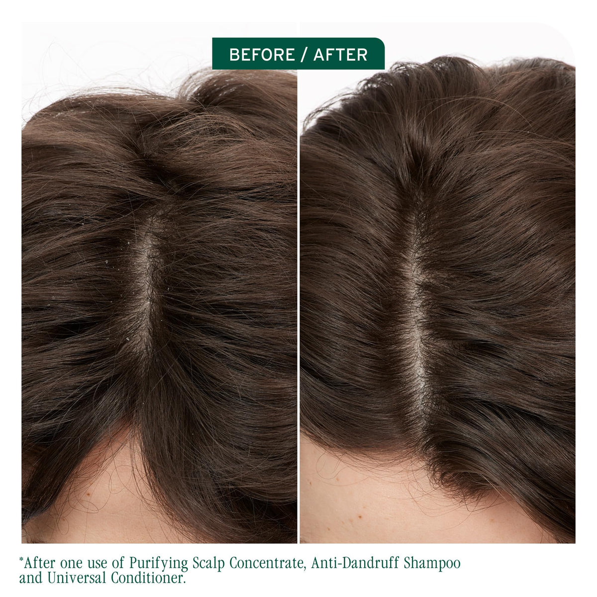 Biolage close-up of the concentrate texture highlighting gentle formula
