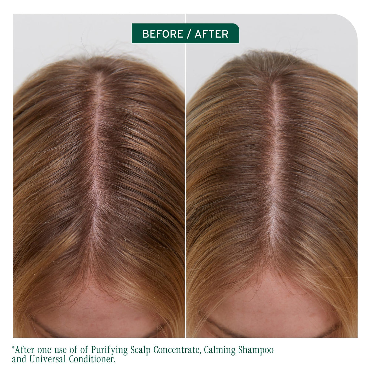 Biolage conditioner pouring texture highlighting lightweight hydration benefit