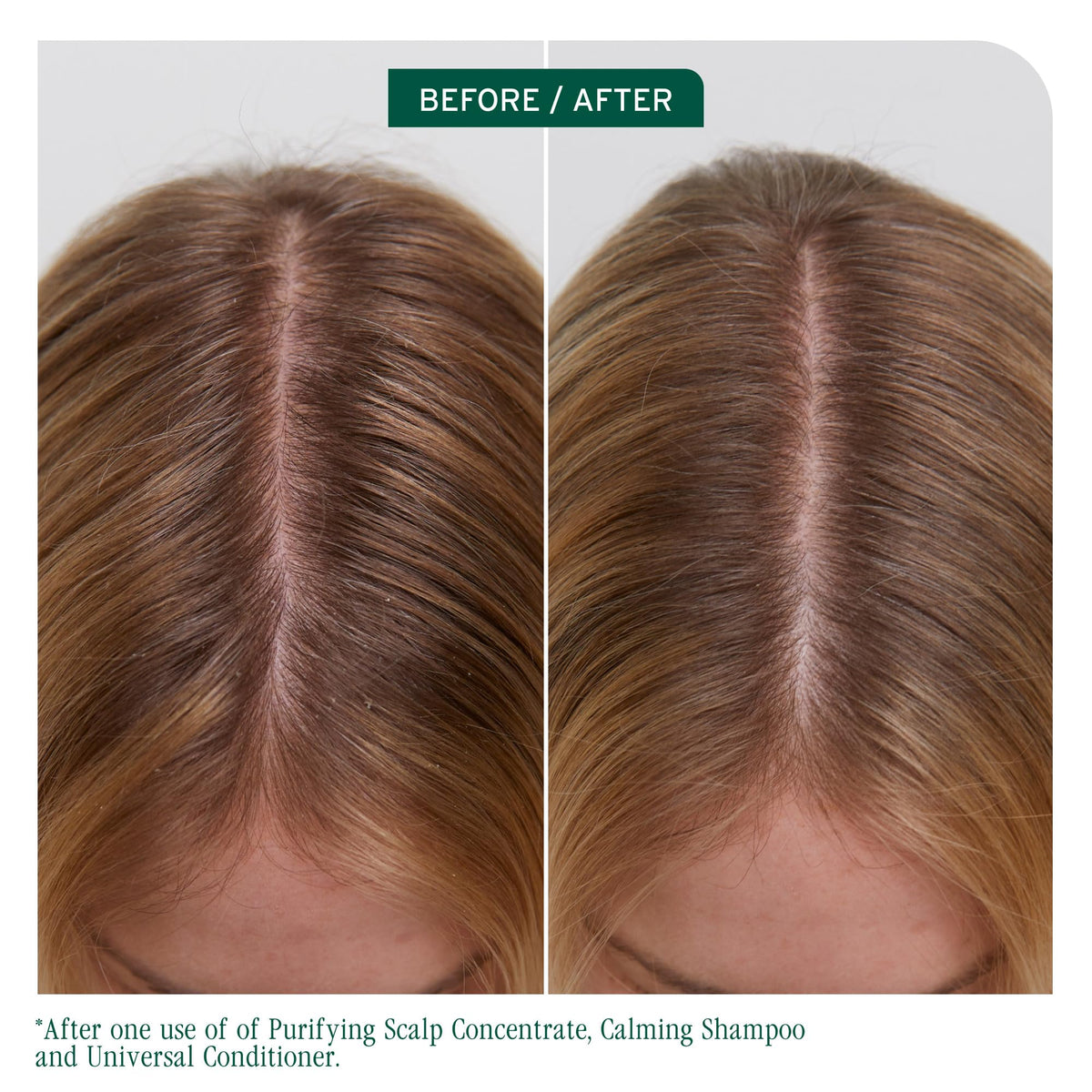 Biolage pump detail for easy dispensing and controlled usage