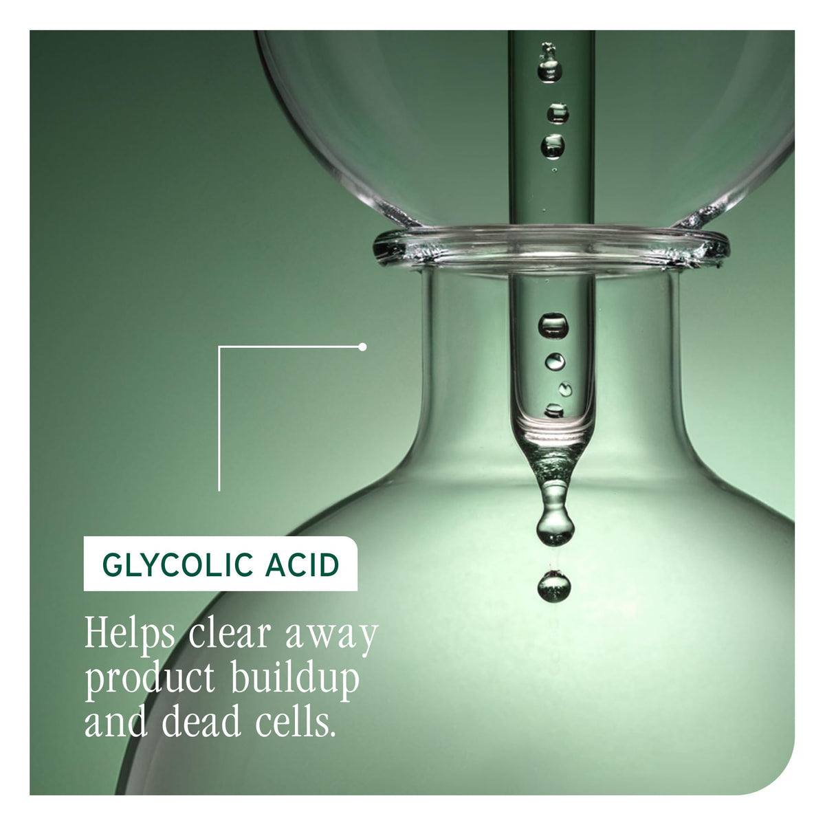 Biolage Scalp Sync tube with tea leaves representing fermented tea soothing benefit