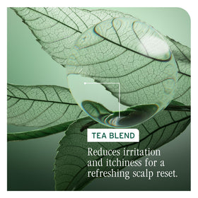 Biolage bottle next to common items showing 33.8 fl oz size advantage