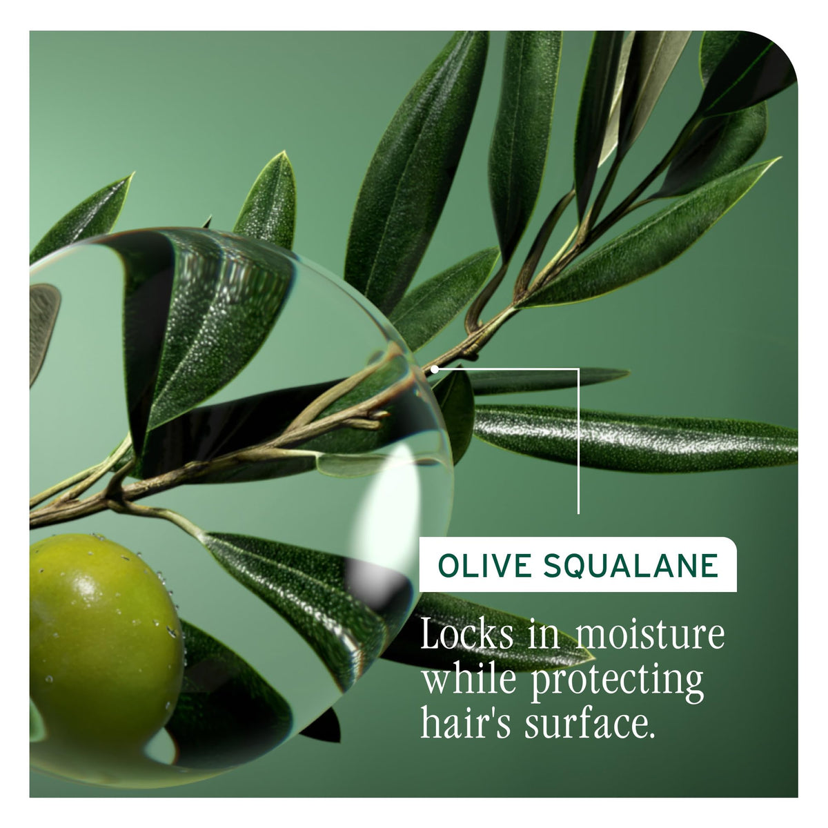 Biolage texture close-up droplet showing creamy moisture and slip