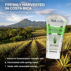 Bioland pump dispensing aloe gel for easy use and controlled application benefit