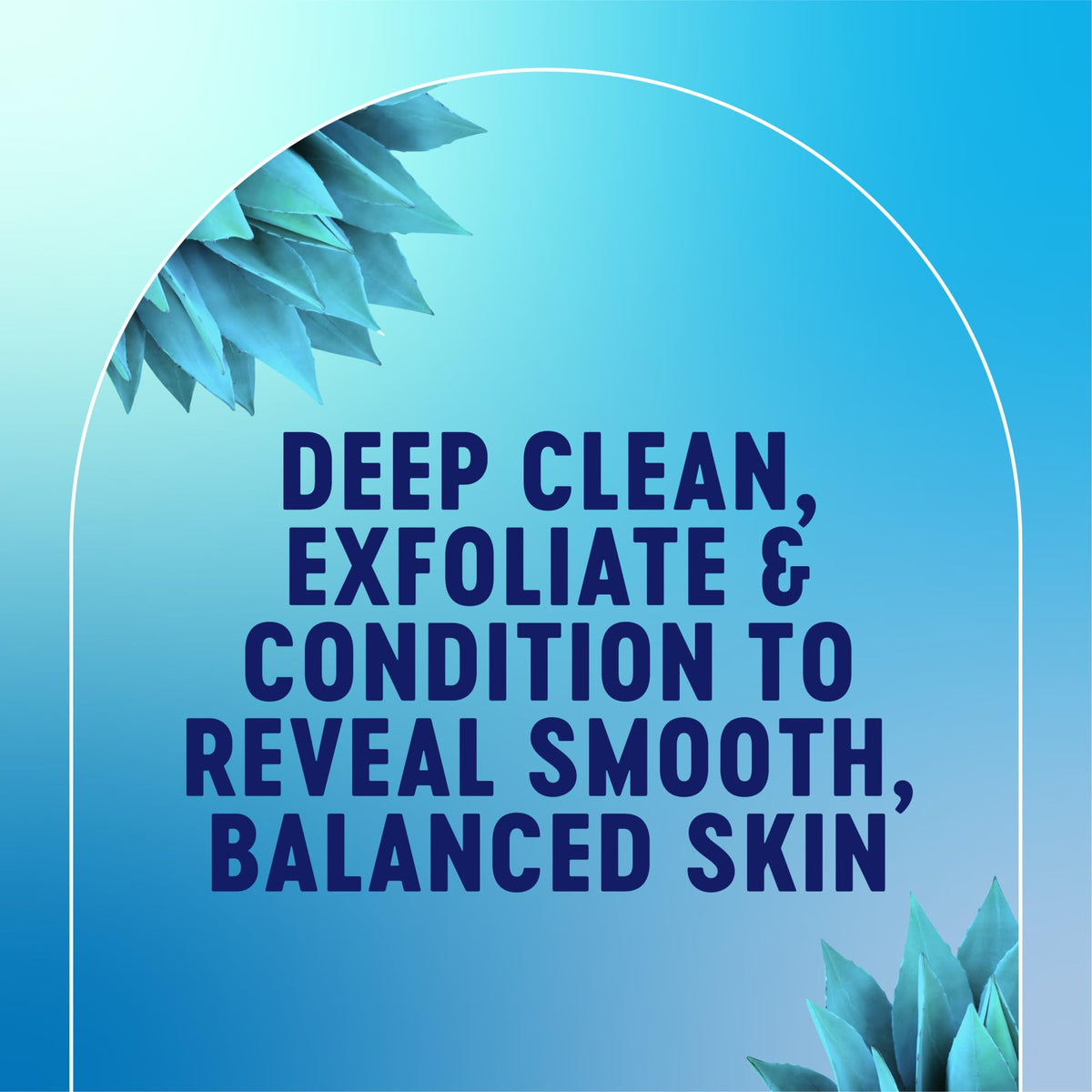 Bioré close-up of jojoba bead texture for gentle exfoliation benefit