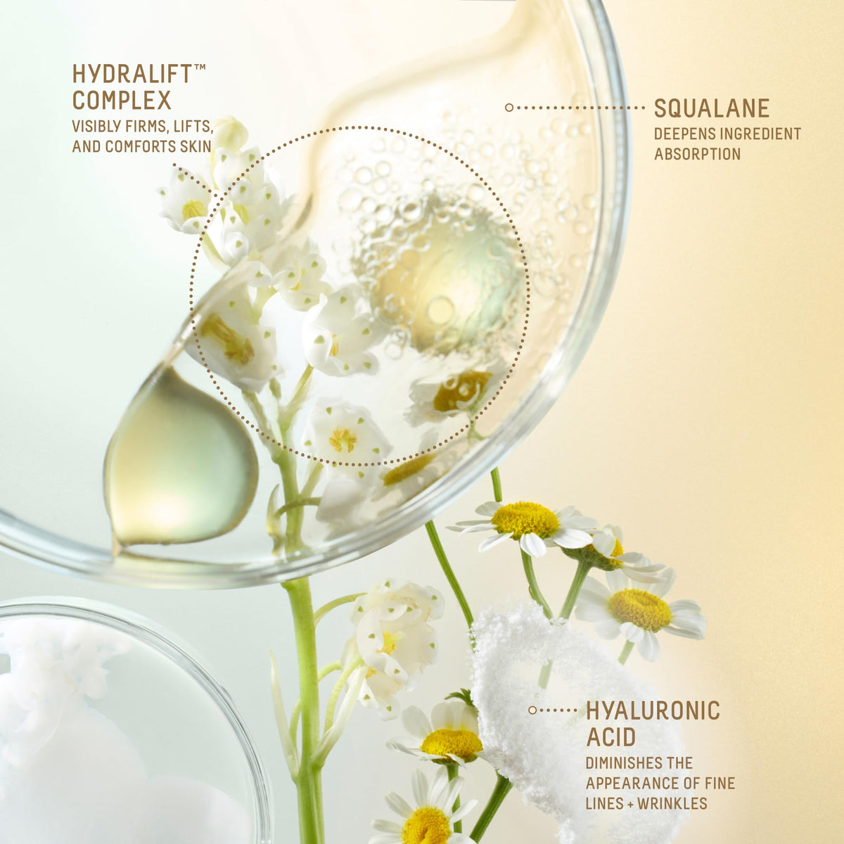 BIOSSANCE hand application showing absorption and instant plumping benefit