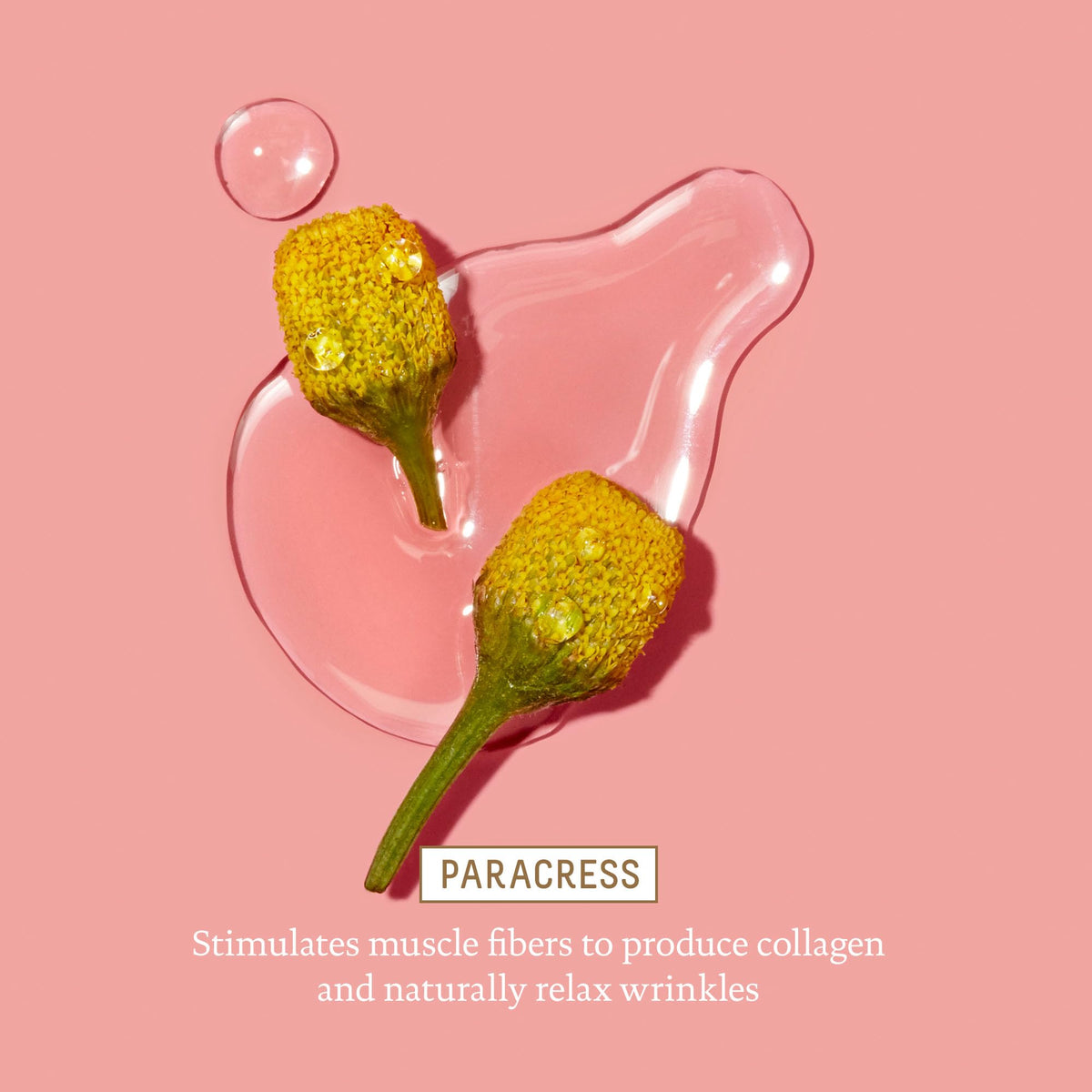 BIOSSANCE applying cream under eye to hydrate and smooth
