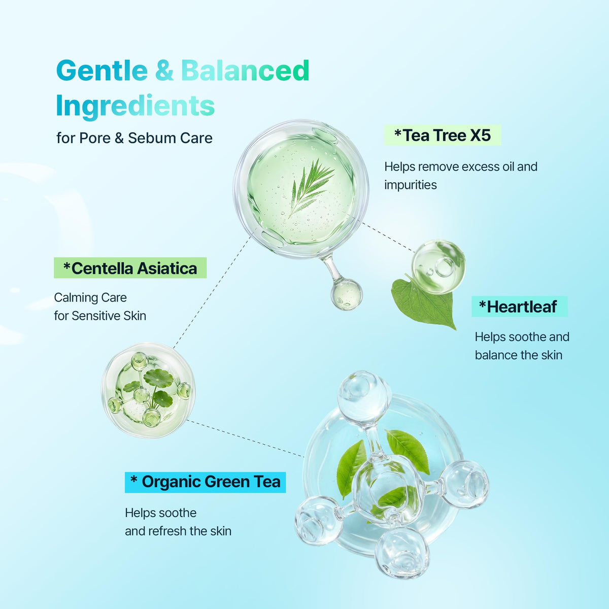 BLANC NATURE ingredient label close-up highlighting tea tree, Centella Asiatica, green tea